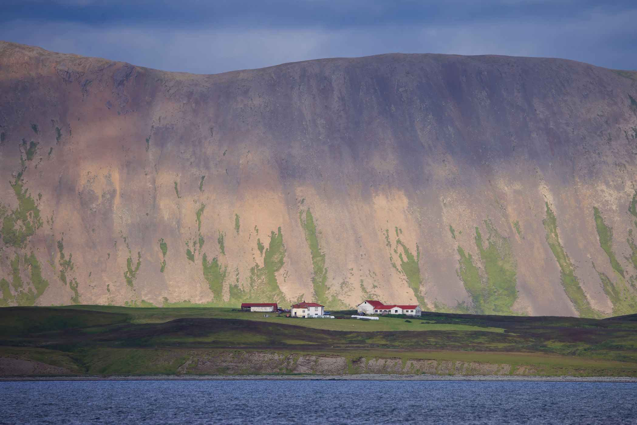 Charter Boat to Melrakkaey Island, Iceland