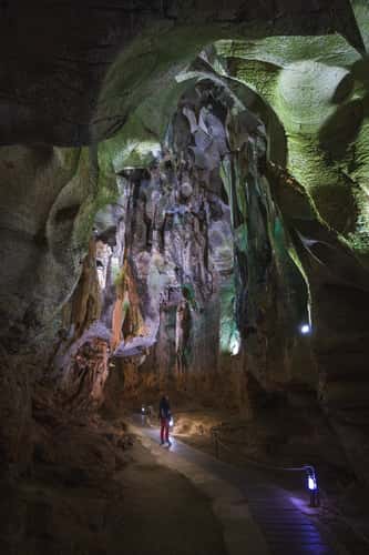 Cova de les Calaveres