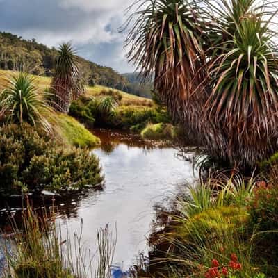 Cradle Valley, Australia