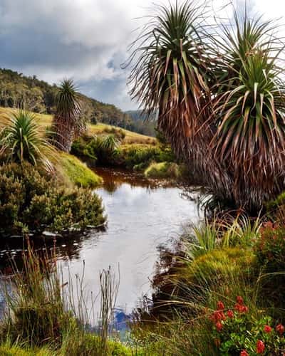 Cradle Valley