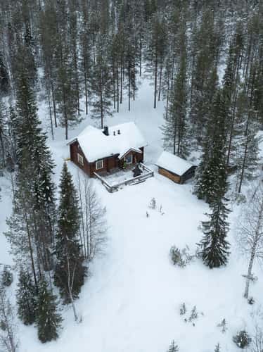 Cute bain in the Finnish forest