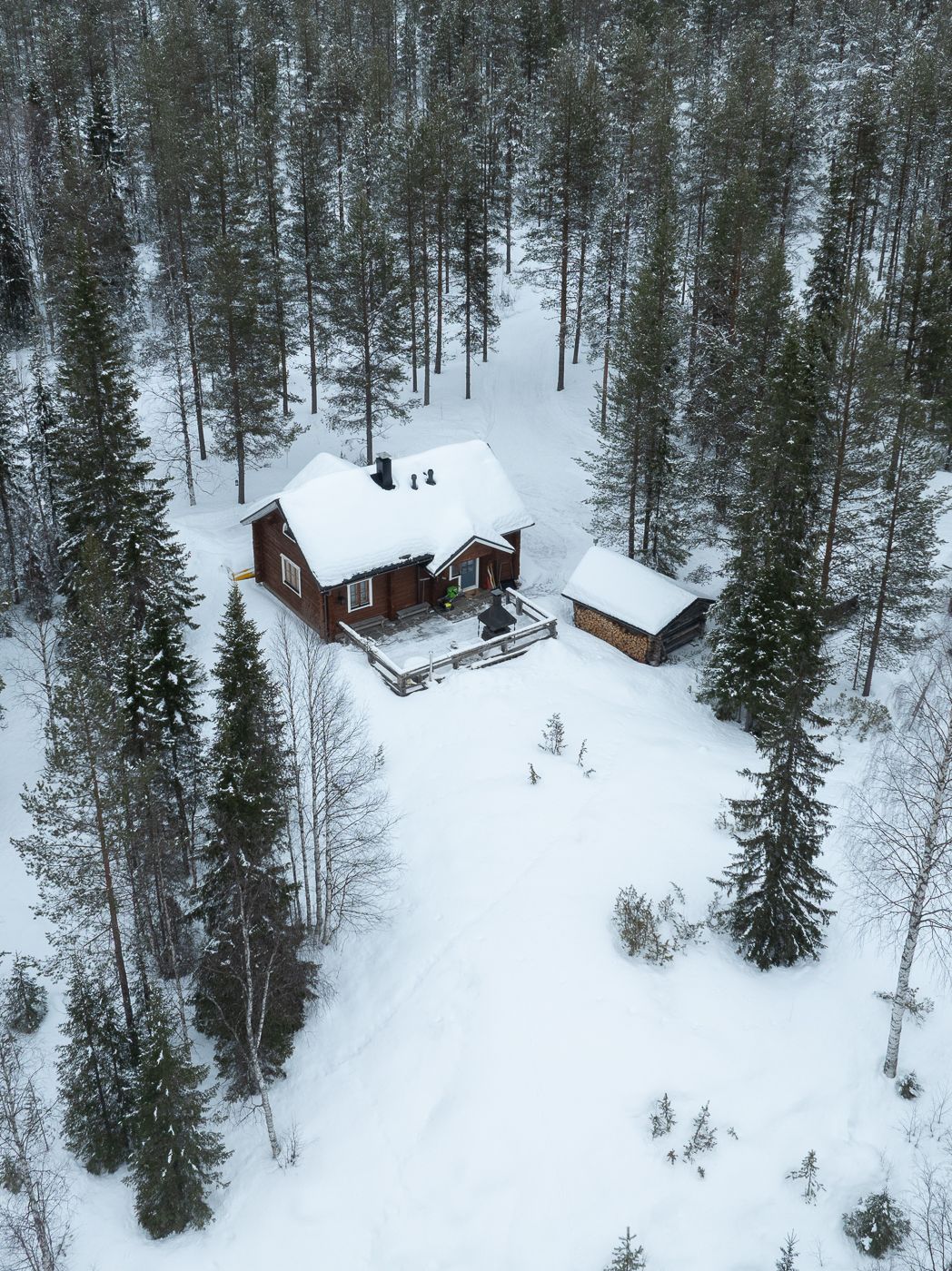 Cute bain in the Finnish forest, Finland