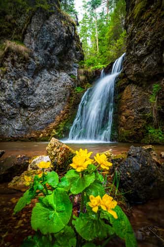 Deep stream
