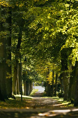 Dümmert-Park, Telgte