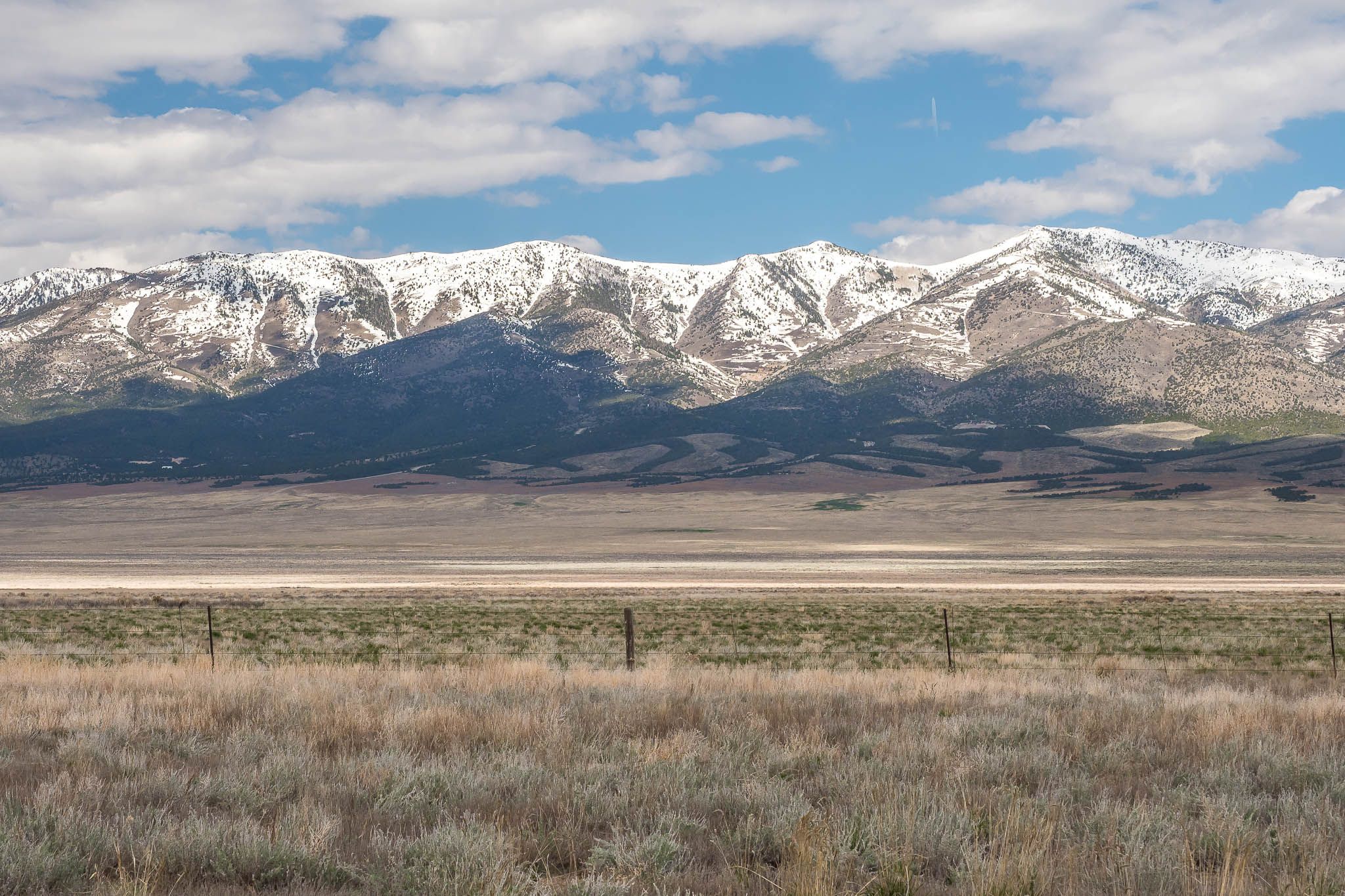 Ely Elk Viewing Area, USA