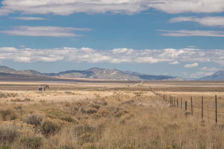 Ely Elk Viewing Area