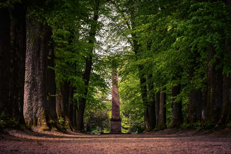 Englischer Garten Eulbach