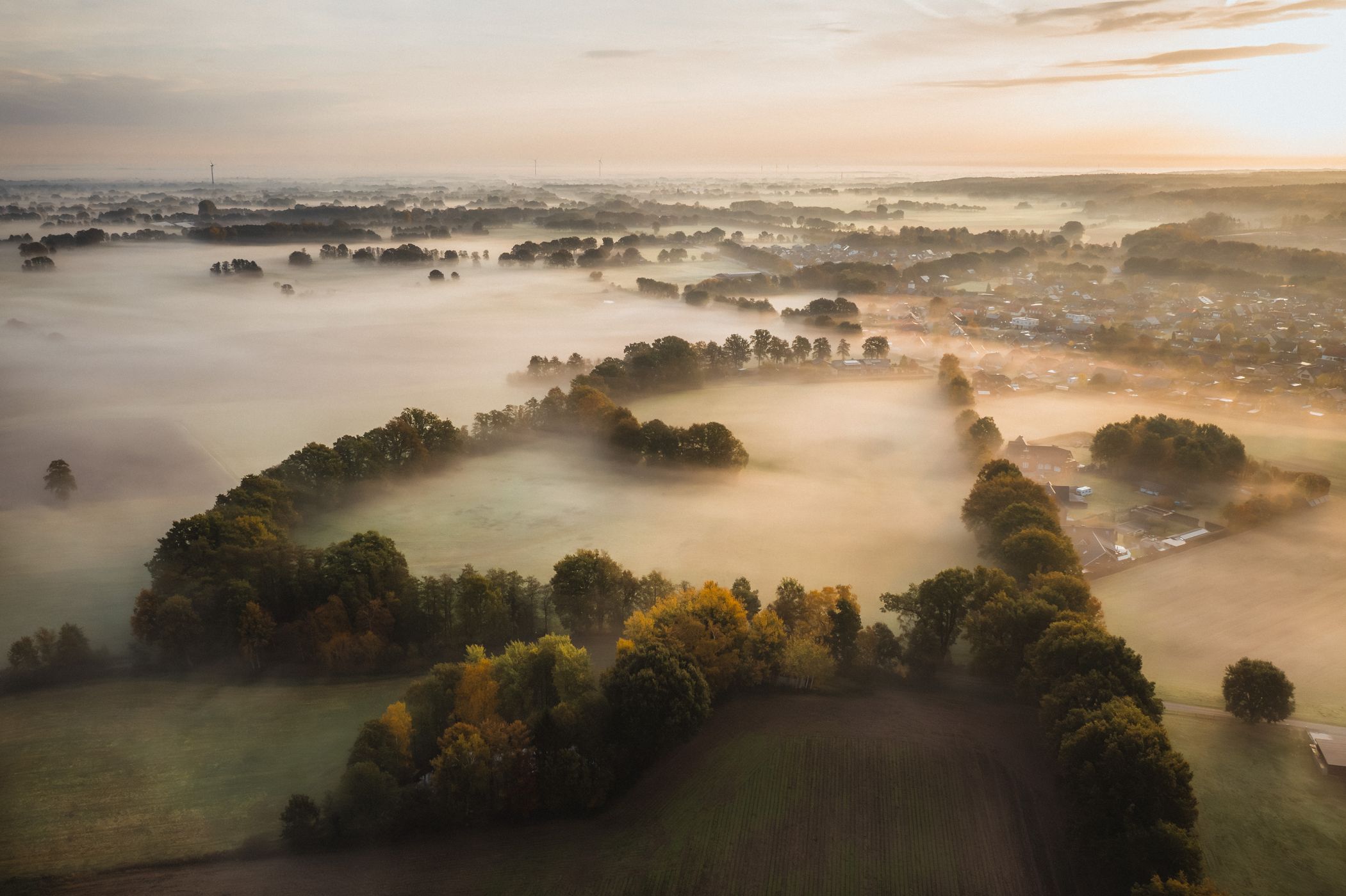 Fields near Obersteinbeck, Münsterland, Germany