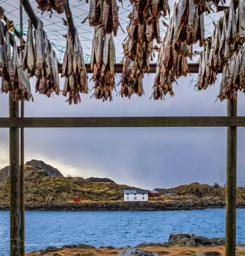 Fish Racks, Mortsund