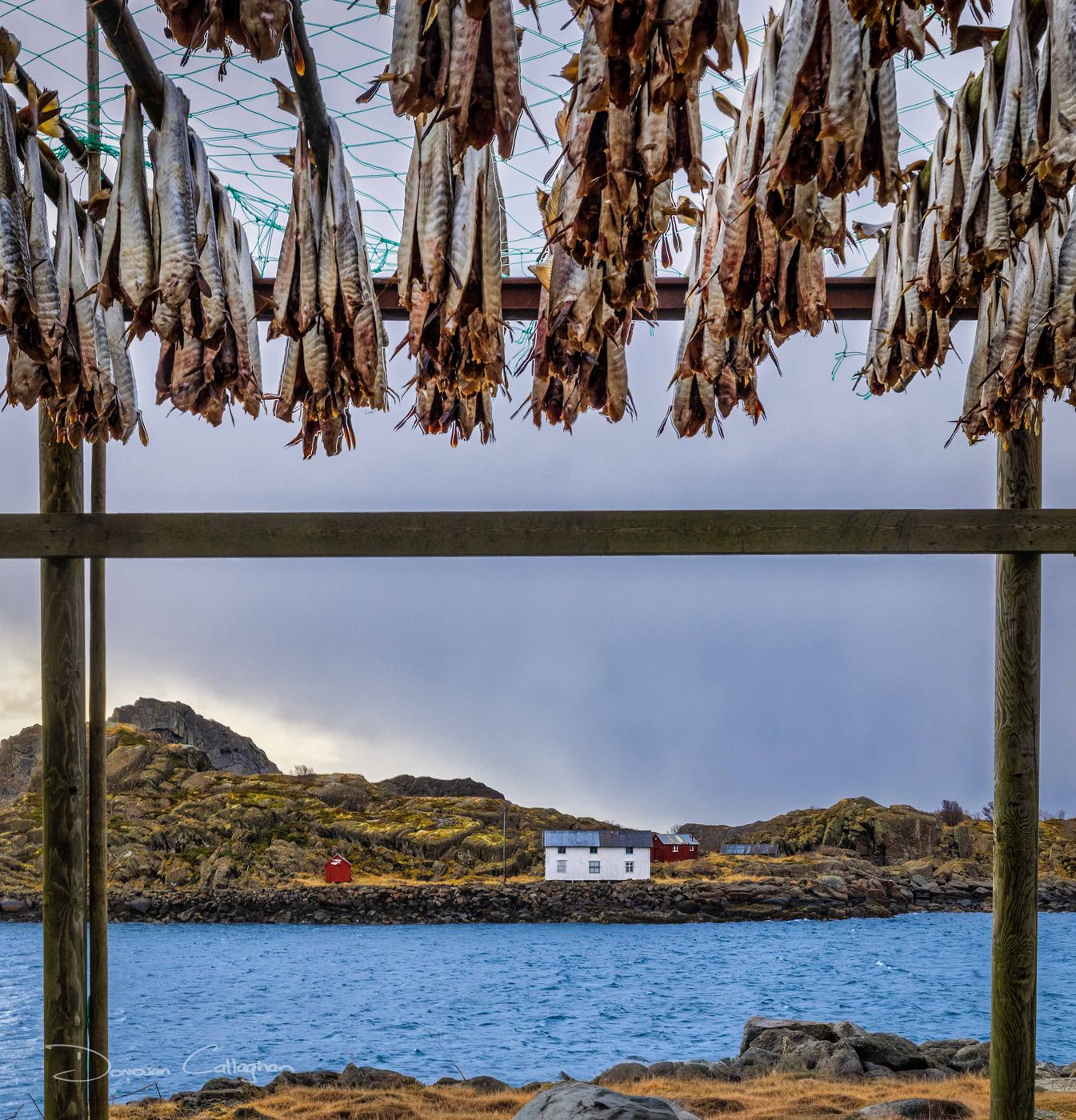 Fish Racks, Mortsund, Norway
