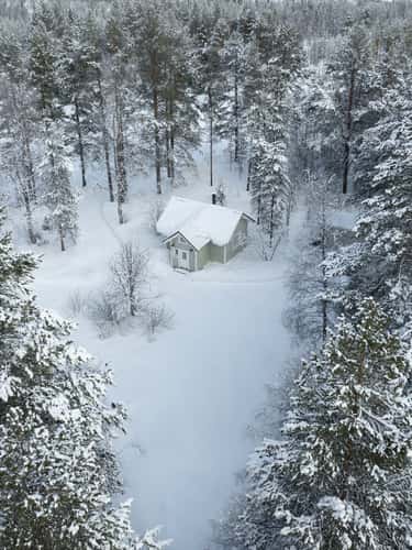 Green cabin