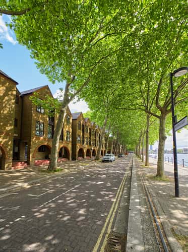 Greenland dock