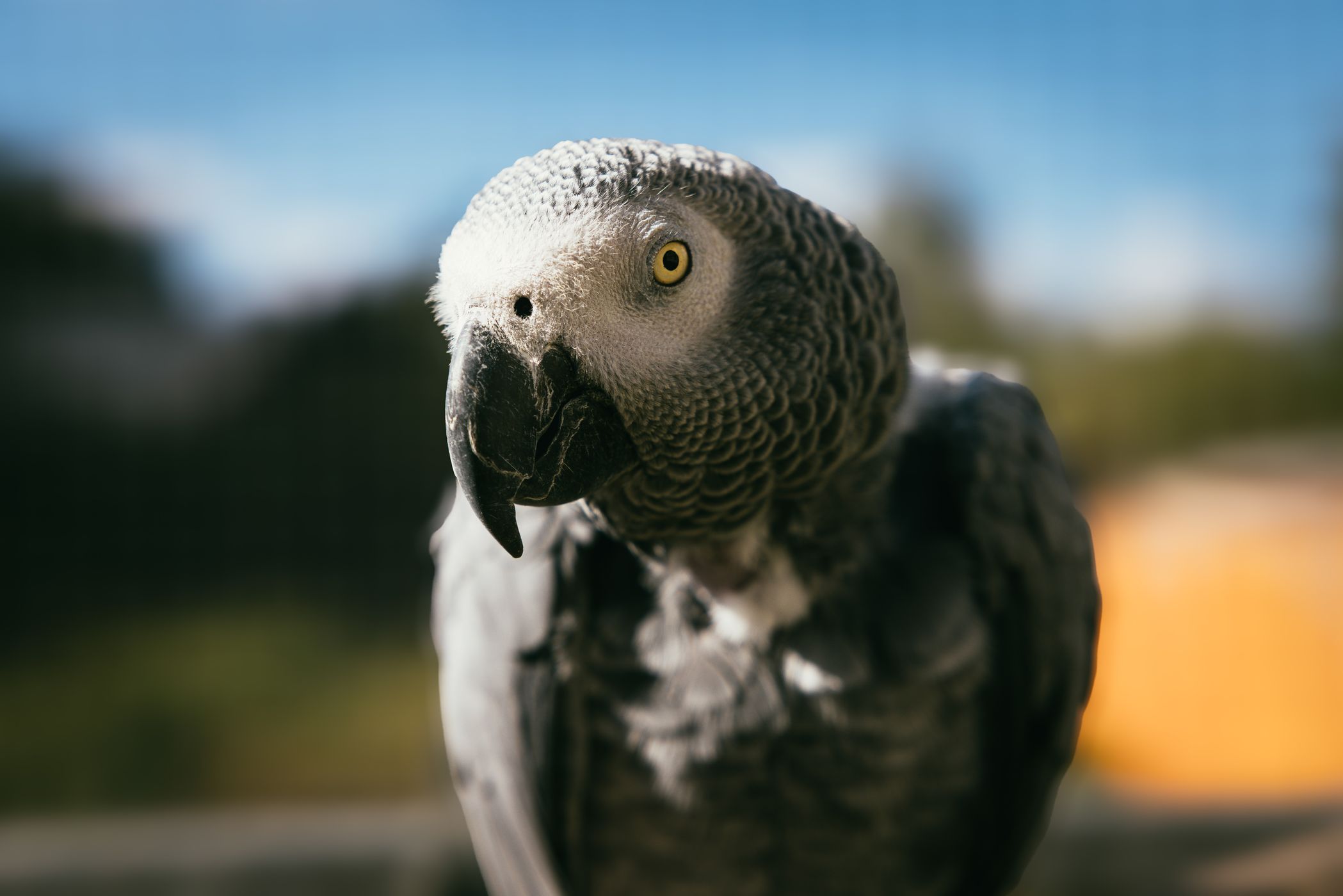 Grimpinger Farm Wildlife Park near Ahsen, Germany