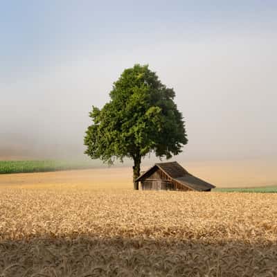 Grossmatt, Switzerland
