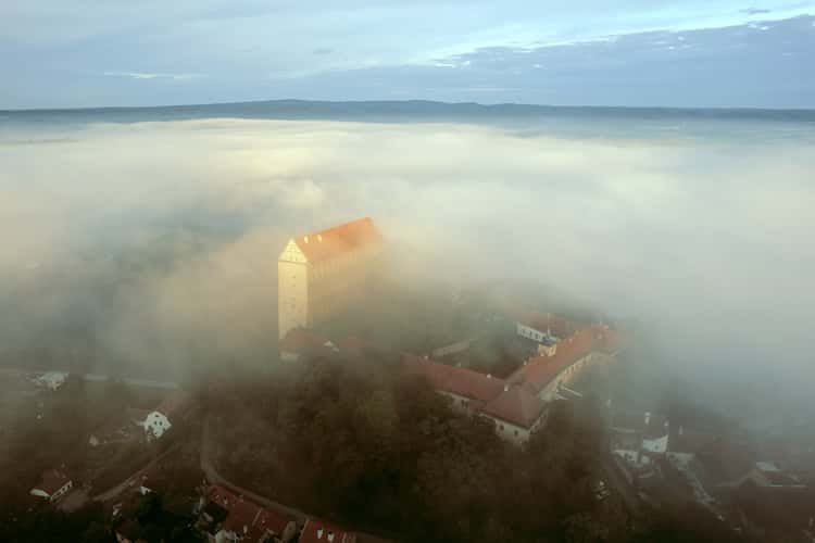 In the embrace of the fog