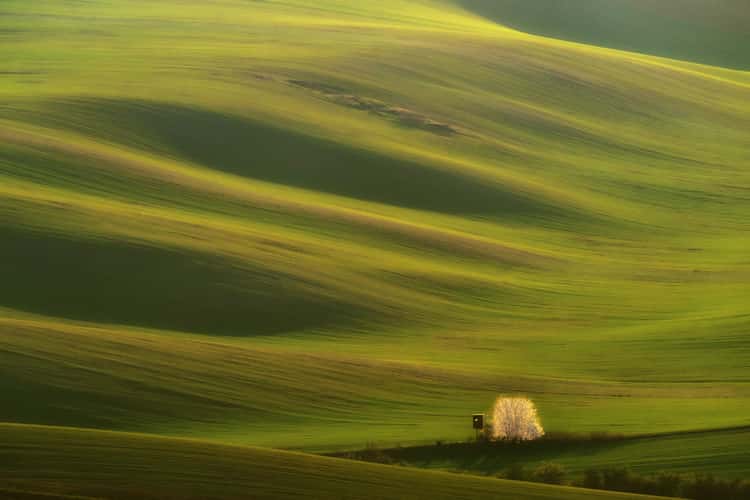 In the fields of South Moravia