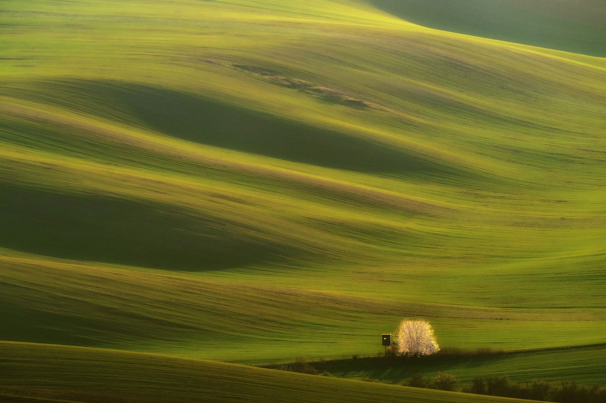 In the fields of South Moravia, Czech Republic