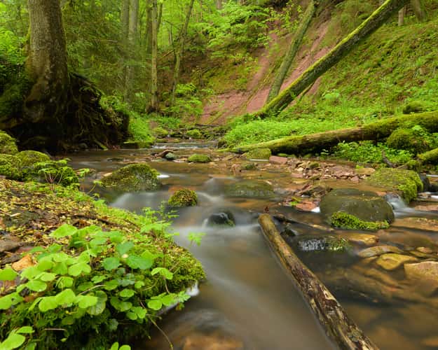 Kaskadenschlucht bei Gersfeld (Rhön)