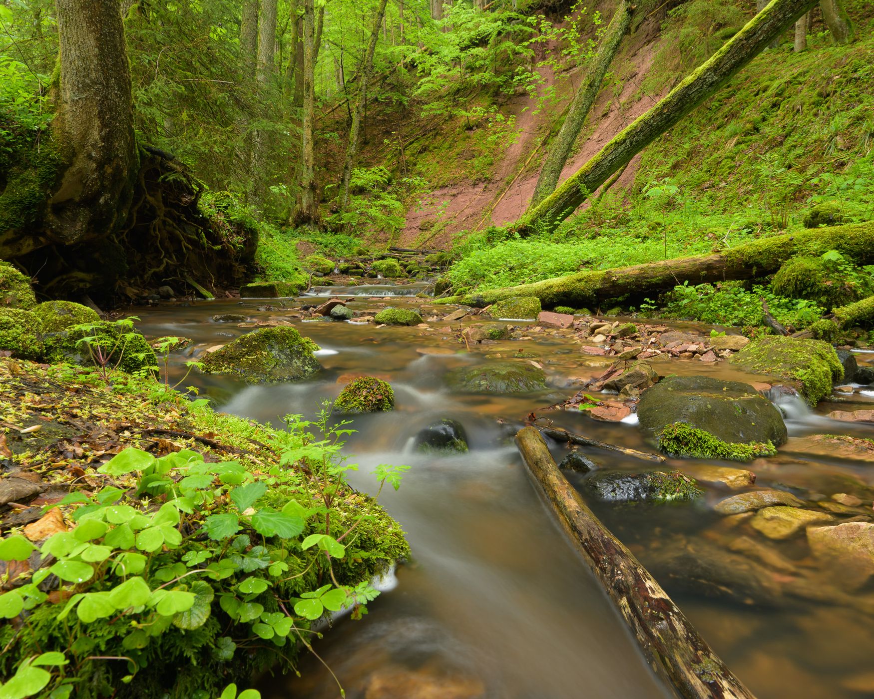 Kaskadenschlucht bei Gersfeld (Rhön), Germany