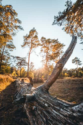 Klatenberge, Münsterland
