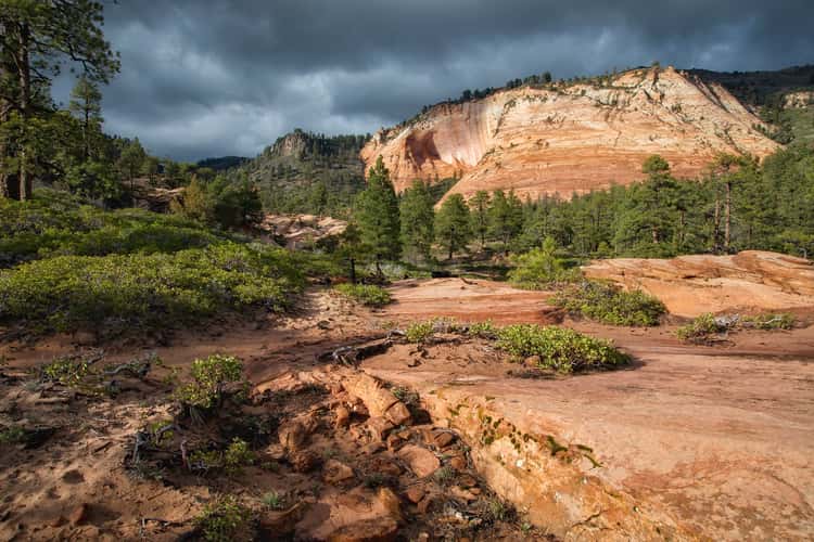 Kolob Terrace Road