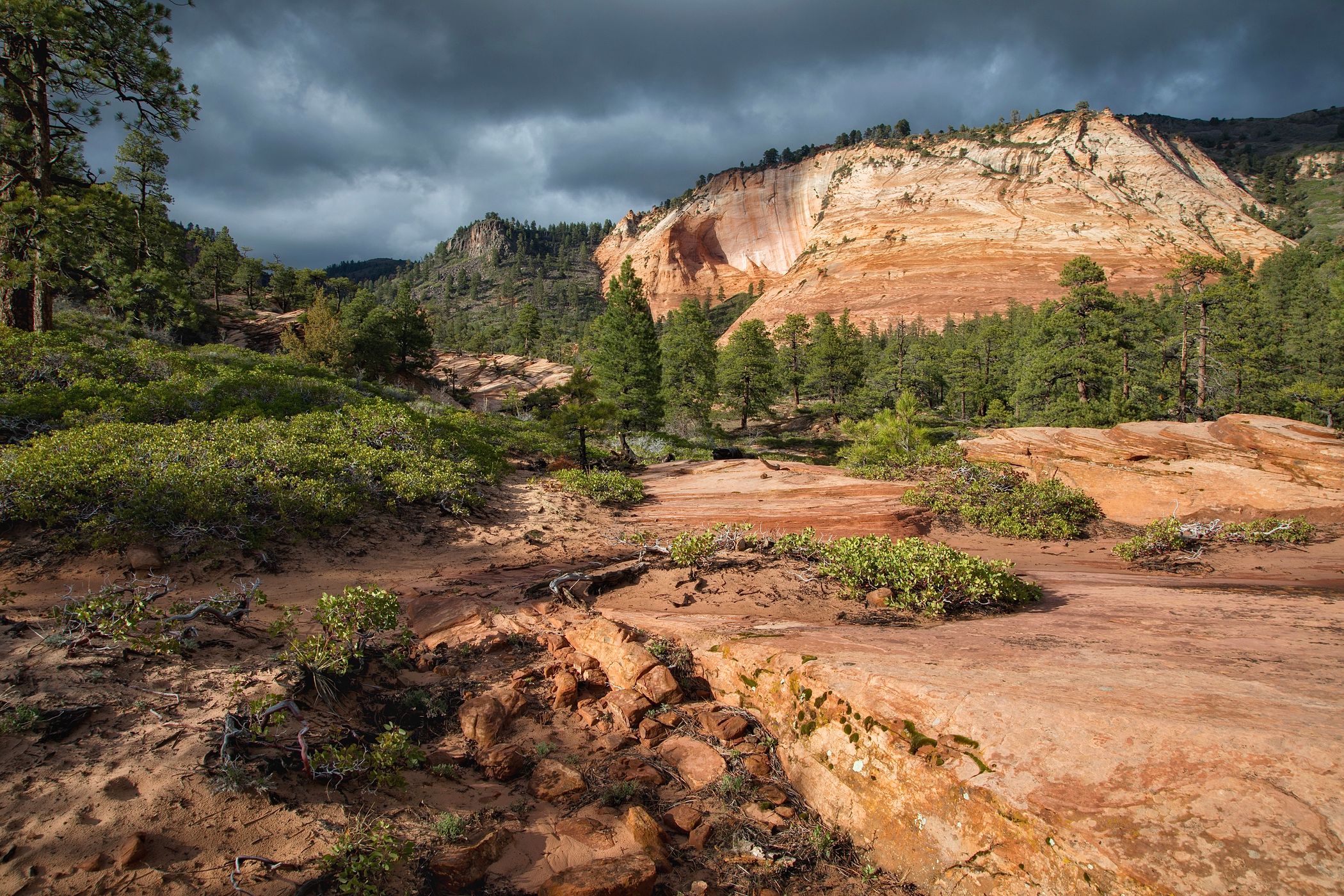 Kolob Terrace Road, USA