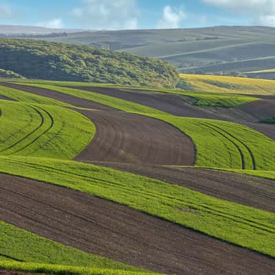 Kunkovice fields, Czech Republic