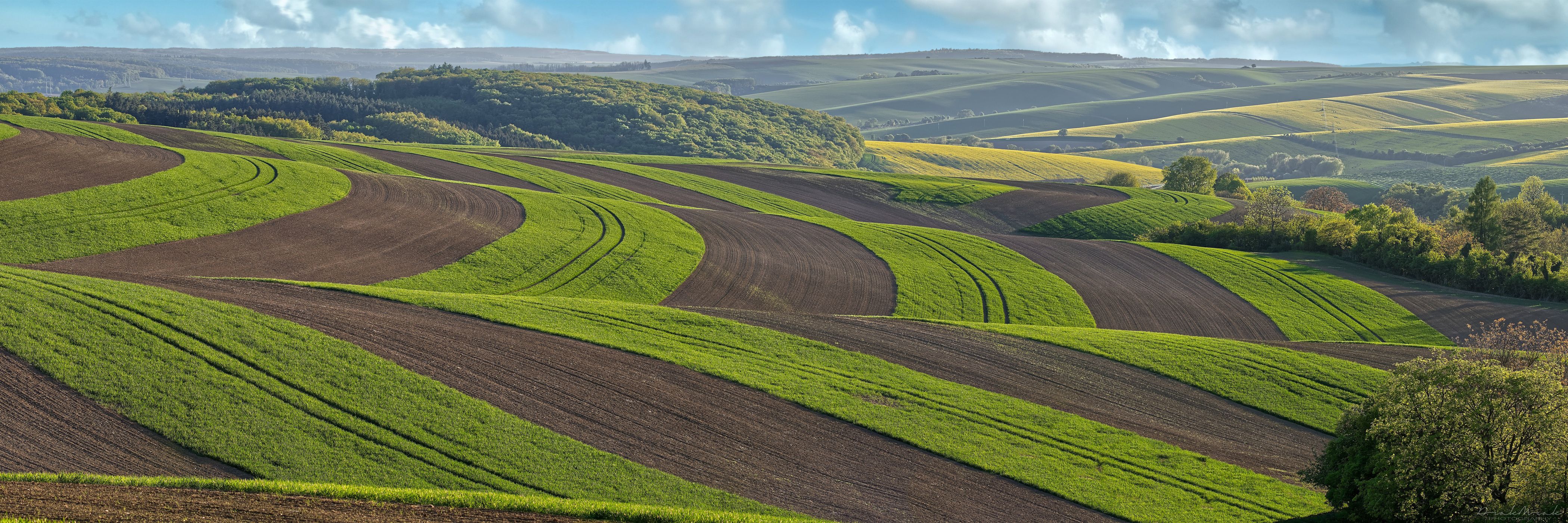 Kunkovice fields, Czech Republic