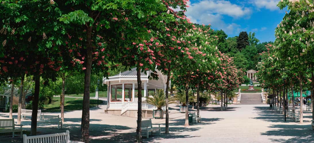 Kurpark Baden