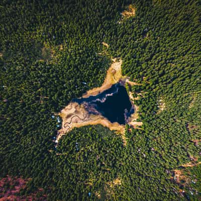 Lake in the middle of forest in Pohorje, Slovenia