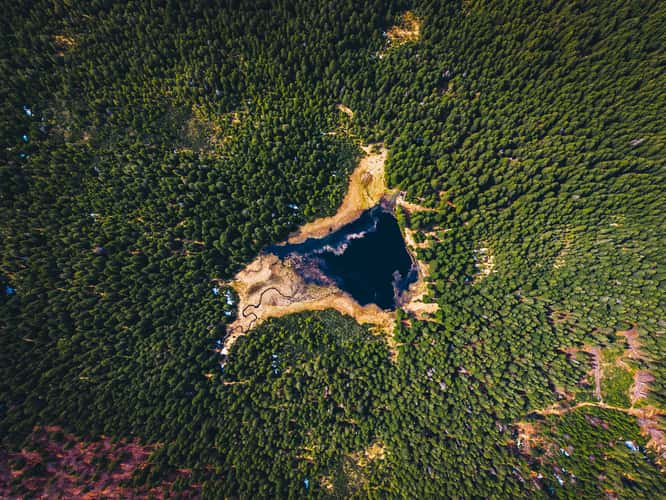 Lake in the middle of forest in Pohorje