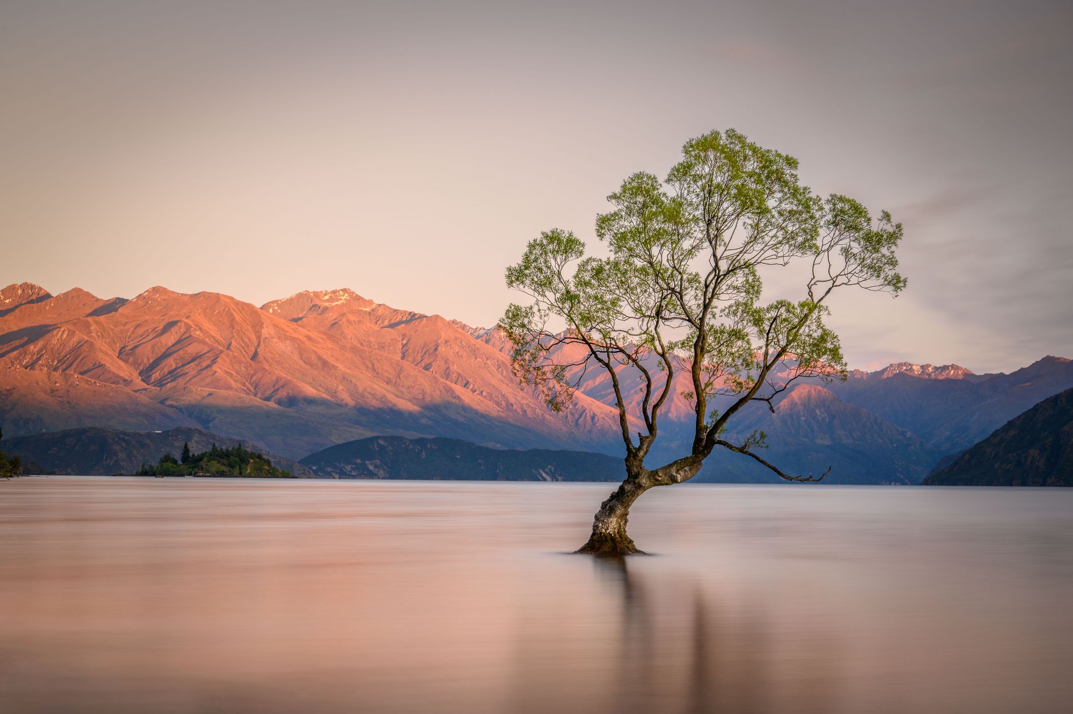 Lake Wanaka - The lonely Tree, New Zealand