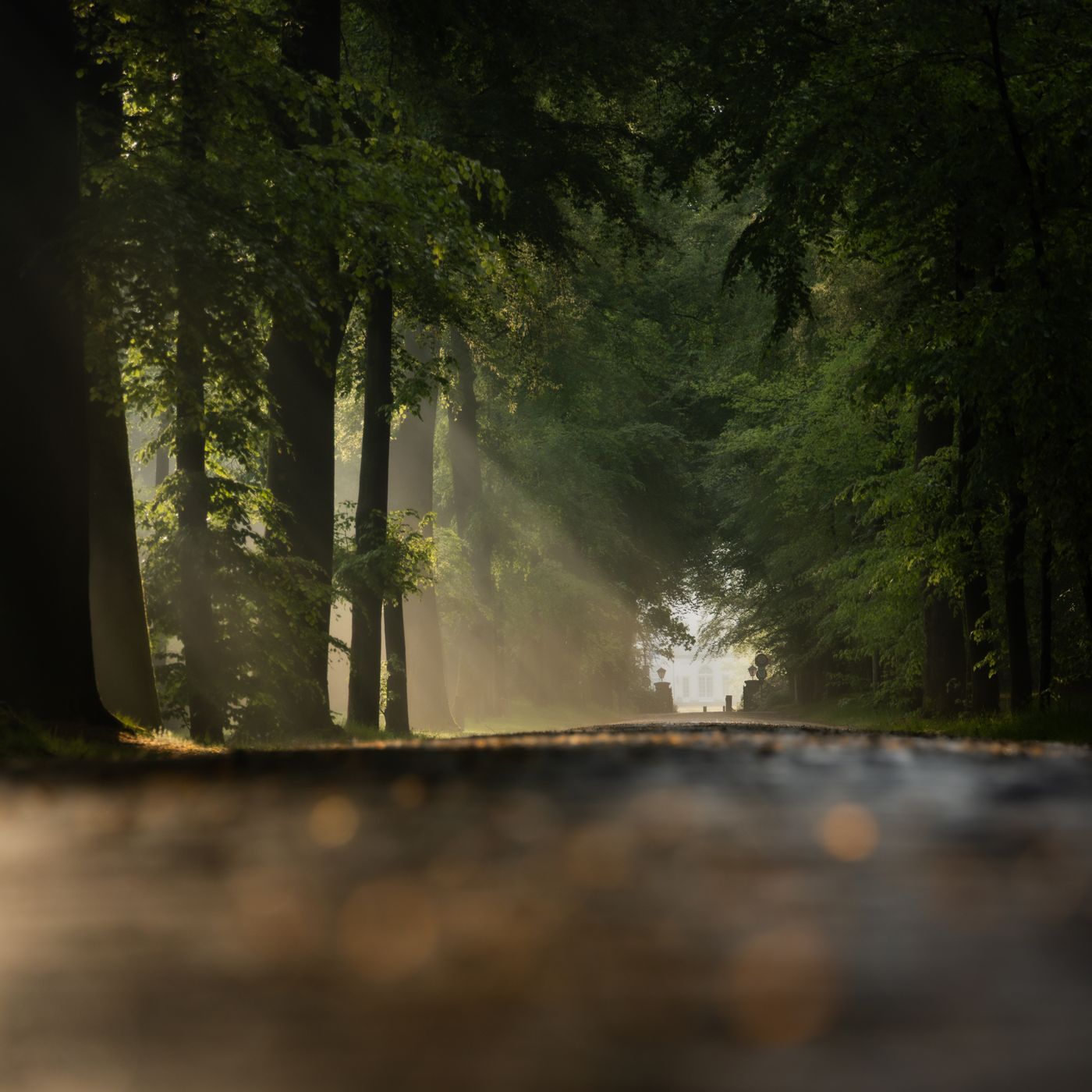 Langoed de Beek, Netherlands