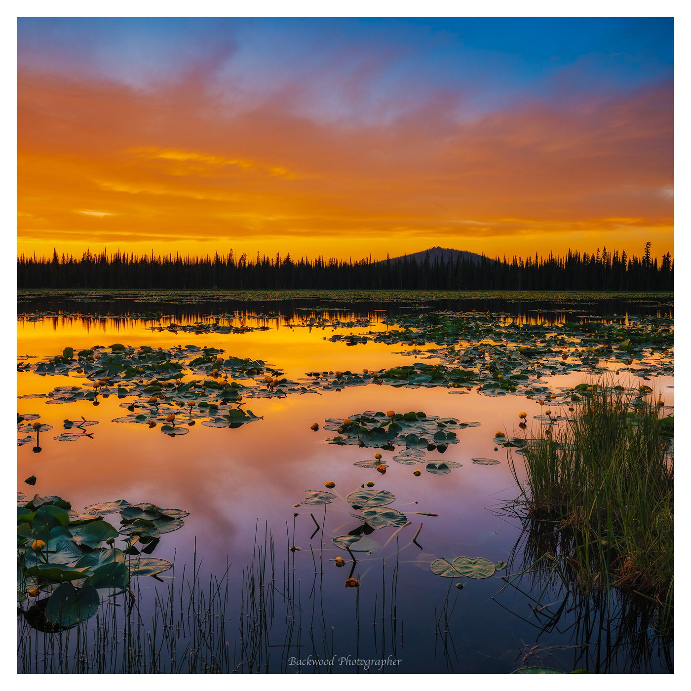 Lily Lake, USA