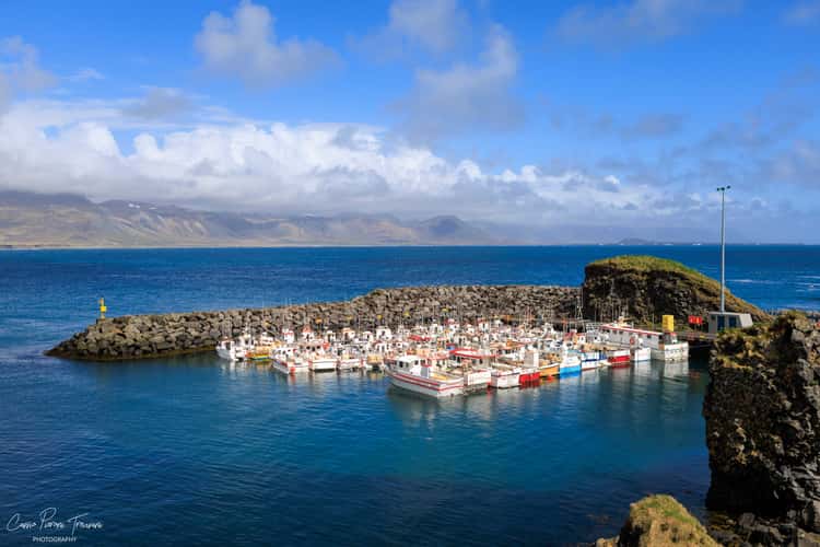 Little Bay of Arnarstapi Harbour, Iceland
