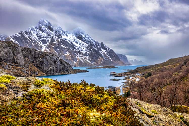 Lofoten Fjord