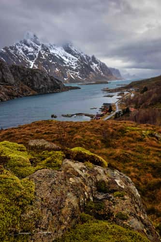 Lofoten Fjord
