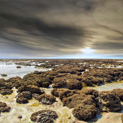 Low tide in Cherrueix, France