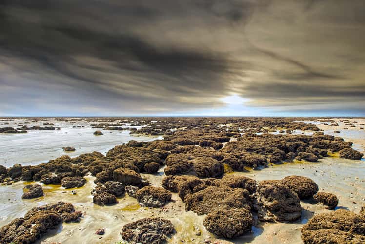 Low tide in Cherrueix