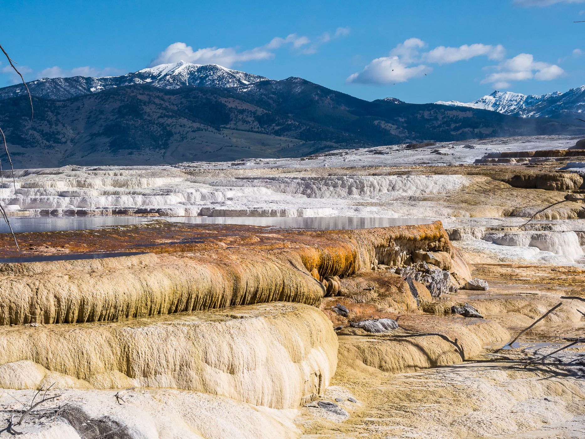 Mammoth Hot Springs, Yellowstone National Park, USA