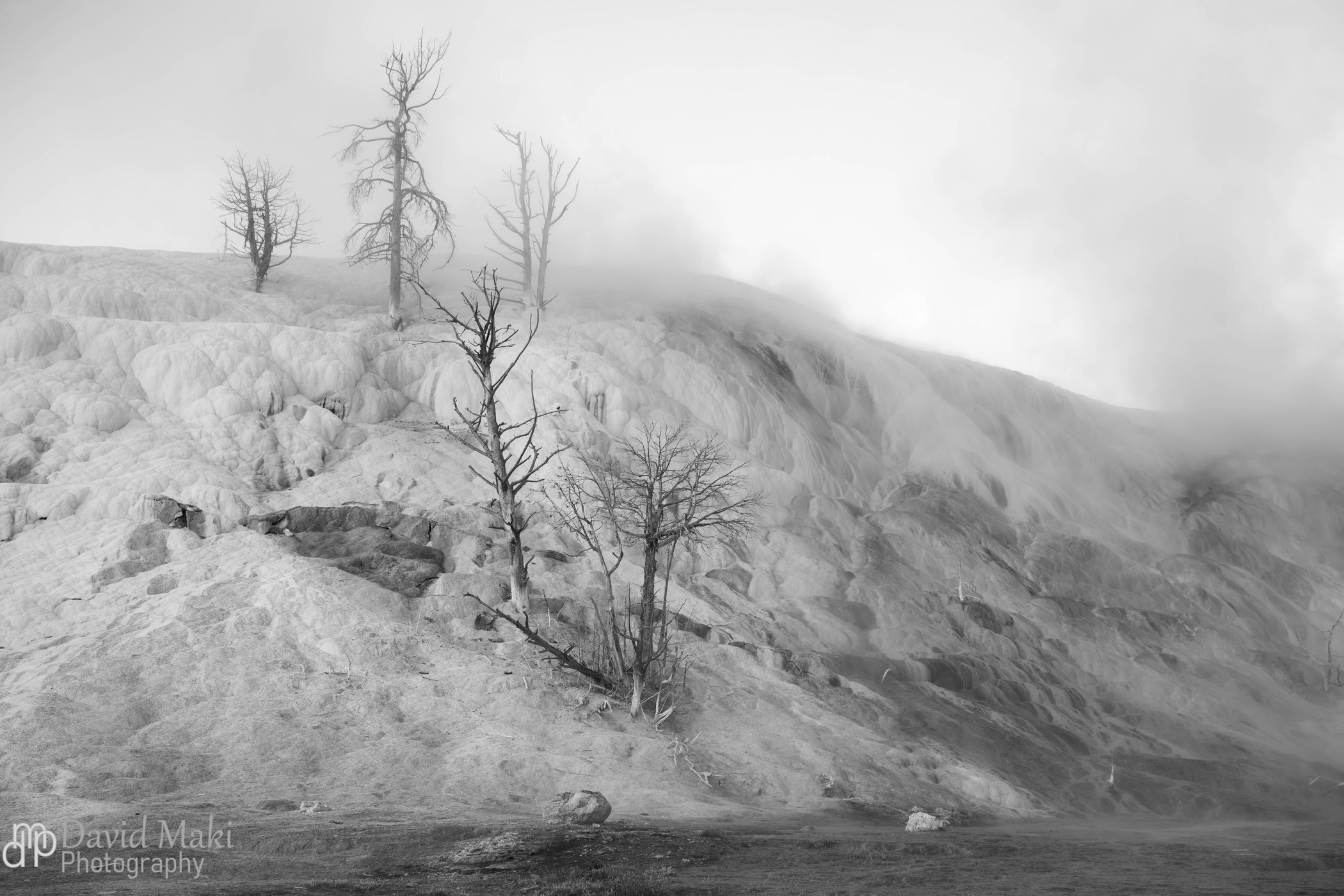Mammoth Hot Springs, Yellowstone National Park, USA