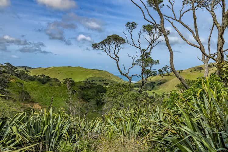 Manukau Heads, South Auckland