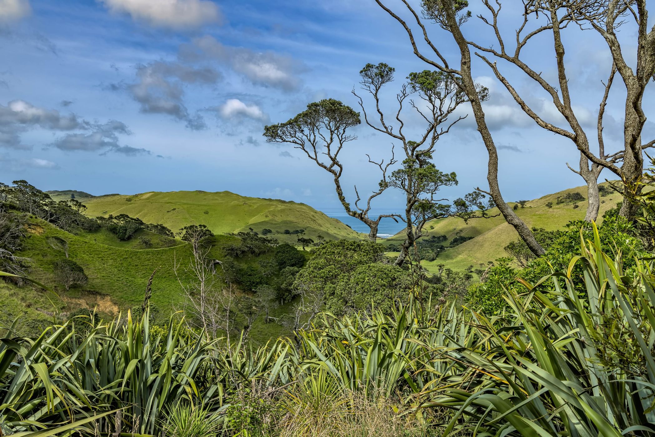 Manukau Heads, South Auckland, New Zealand