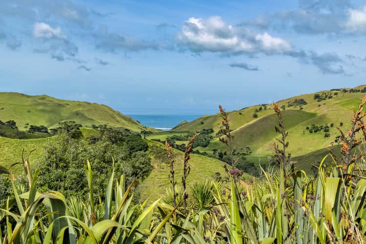 Manukau Heads, South Auckland