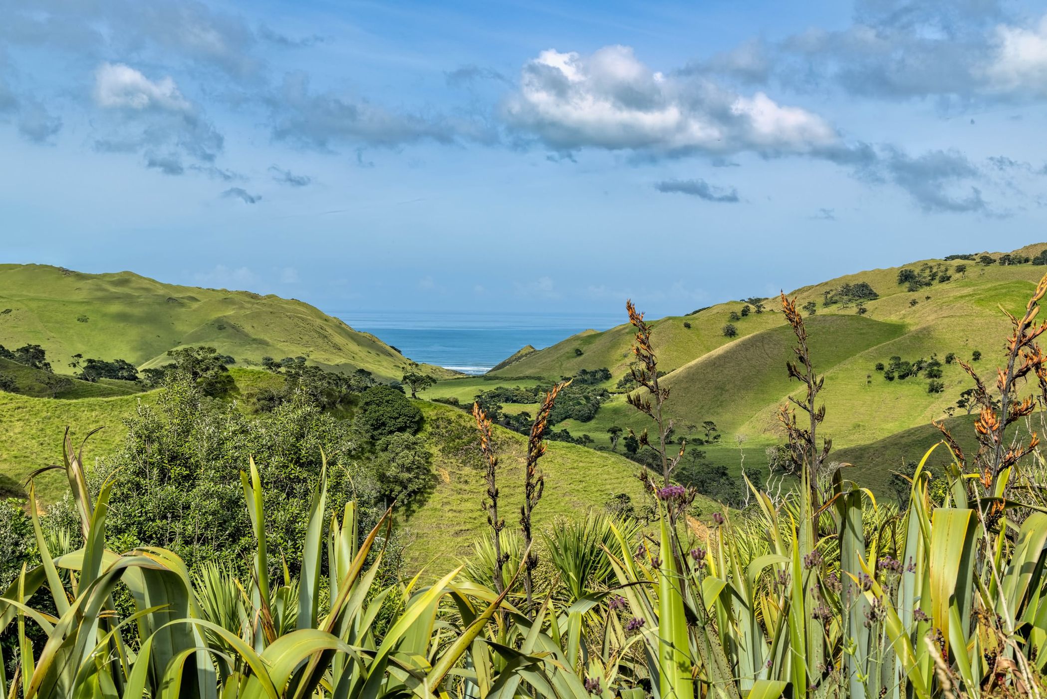 Manukau Heads, South Auckland, New Zealand