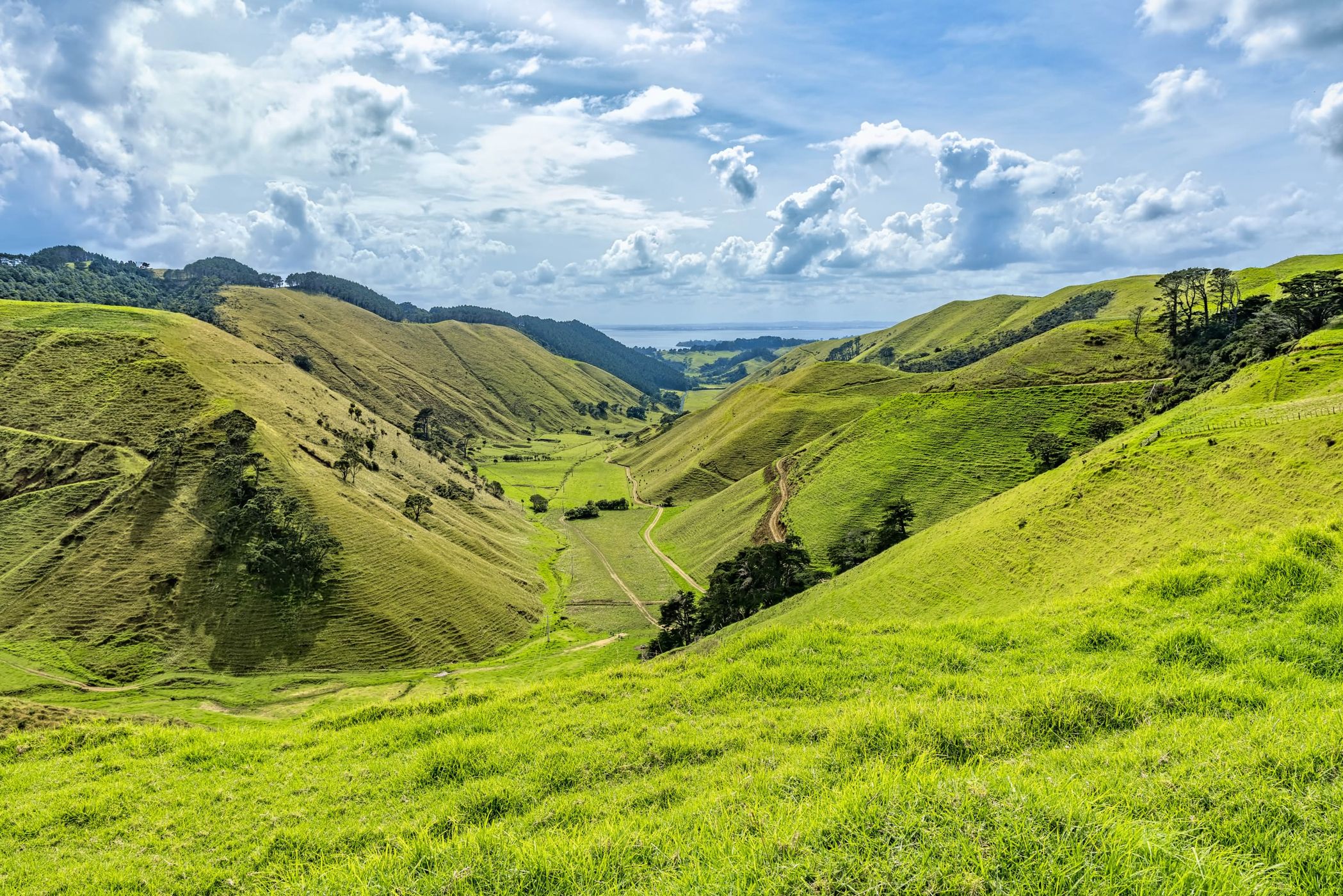 Manukau Heads, South Auckland, New Zealand