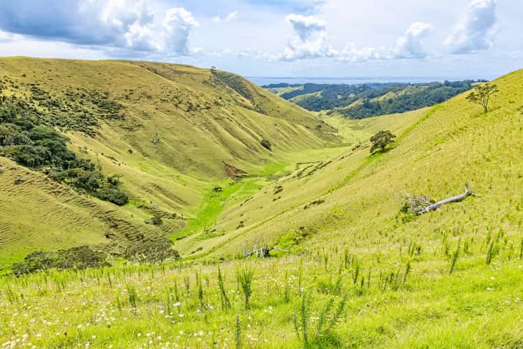 Manukau Heads, South Auckland