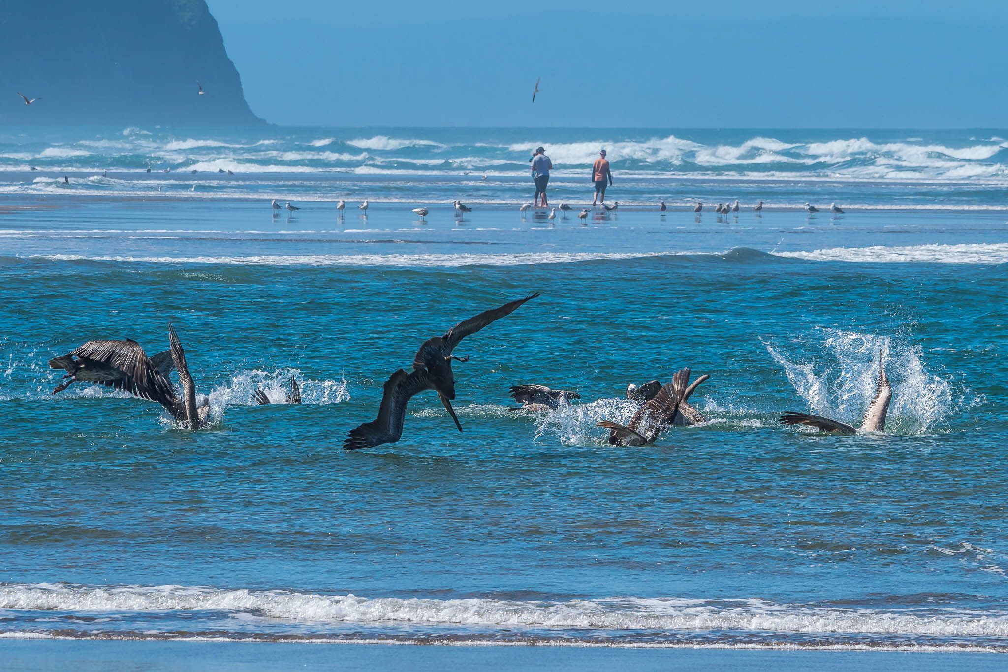 McPhillips Beach, USA