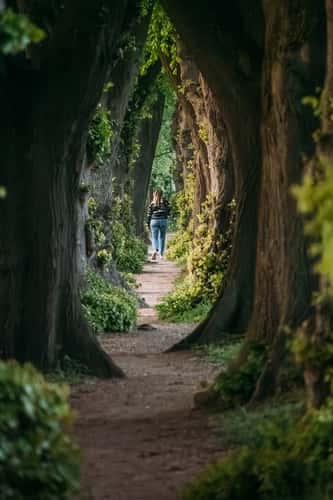 Most Narrow Linden Avenue of Germany