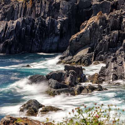 Mulleys Cove view, Canada